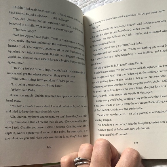 The Mistmantle Chronicles book 1 - The Urchin of the Riding Stars. Summer read! - Picture 8 of 10